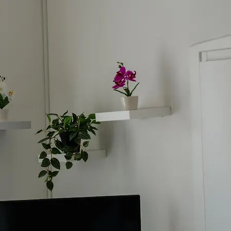 Appartement Le Saint-michel